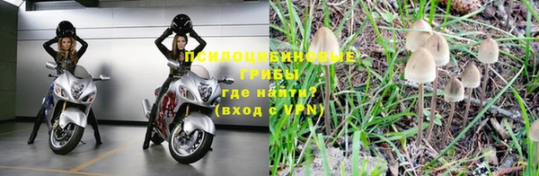 ПСИЛОЦИБИНОВЫЕ ГРИБЫ Верхнеуральск