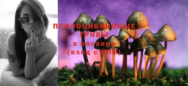 a pvp Верхний Тагил