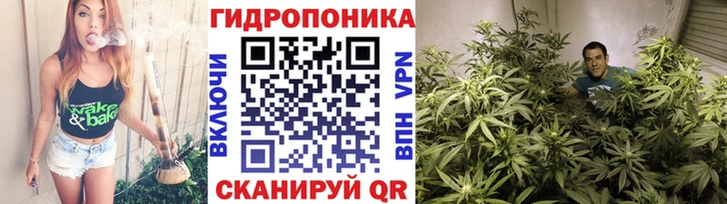 Шишки марихуана OG Kush купить наркоту Новая Усмань